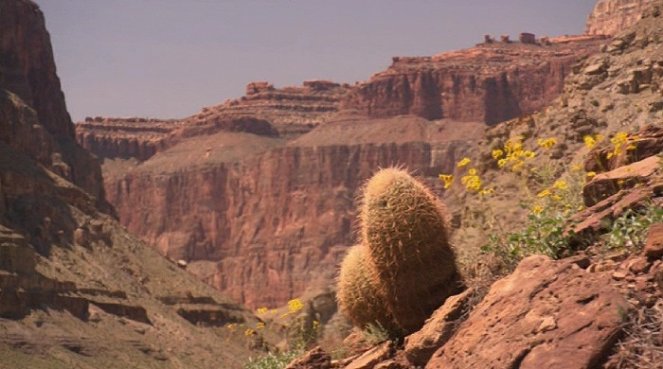 America's Wild Spaces: Grand Canyon - Do filme