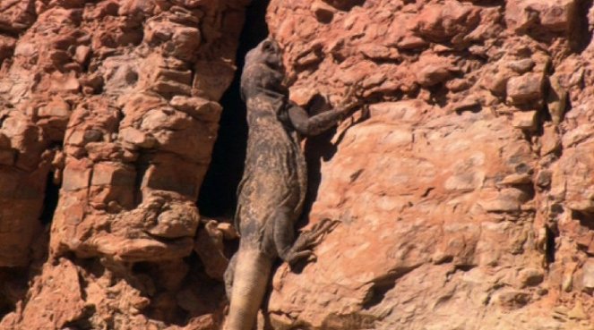 America's Wild Spaces: Grand Canyon - De la película