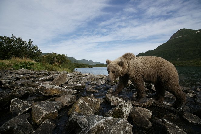 Alone Among Grizzlies with Richard Terry - Photos