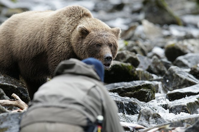 Alone Among Grizzlies with Richard Terry - Filmfotos