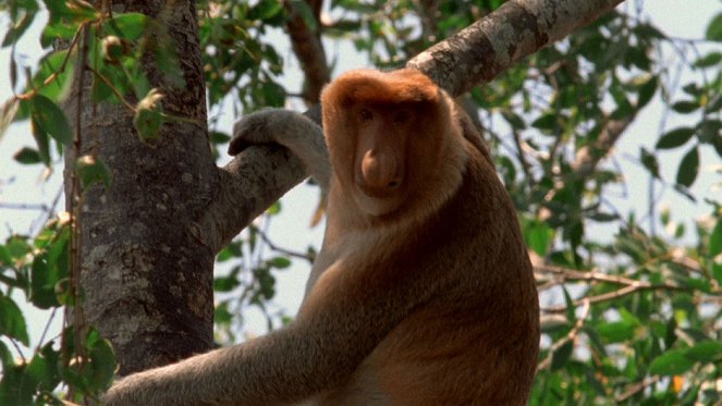 Tierische Freaks - Filmfotos