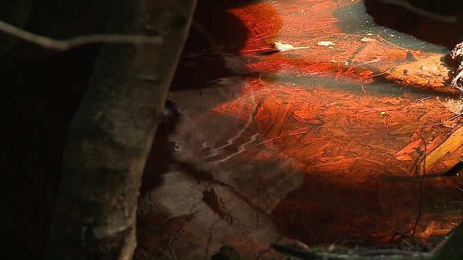 Poseidon podzemní labyrint - Film
