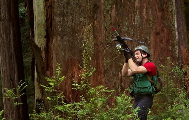 Redwoods: Anatomy of a Giant - Z filmu