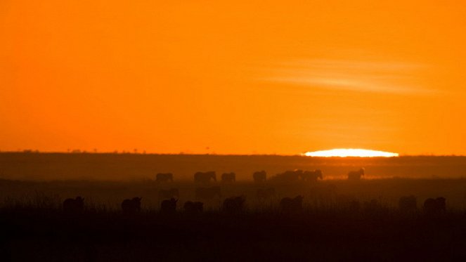 Great Migrations - Das große Wunder der Tierwanderungen - Filmfotos