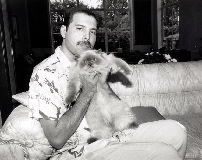 Freddie Mercury: The Great Pretender - Photos - Freddie Mercury