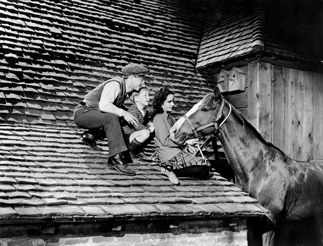 A nagy derby - Filmfotók - Mickey Rooney, Elizabeth Taylor