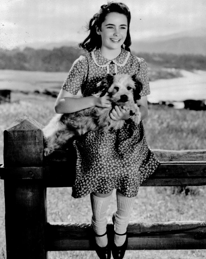 National Velvet - Z filmu - Elizabeth Taylor