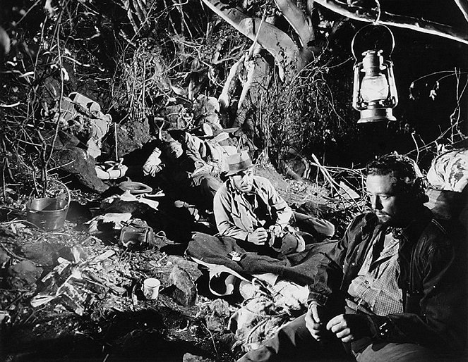 Der Schatz der Sierra Madre - Filmfotos - Humphrey Bogart, Tim Holt