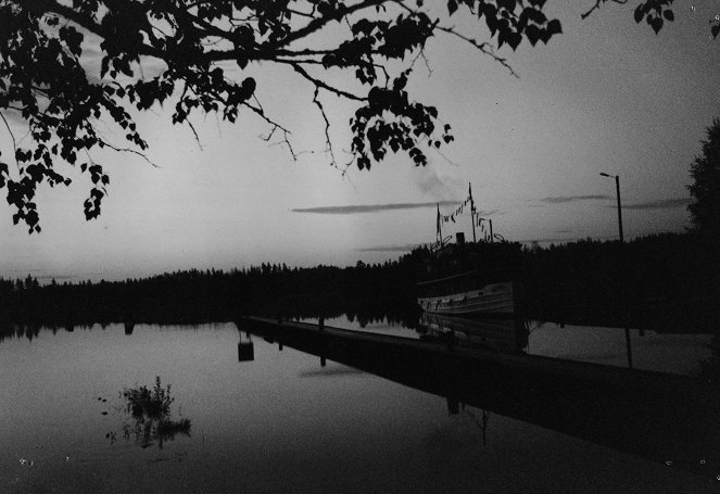 Le Syndrome du lac Saimaa - Film
