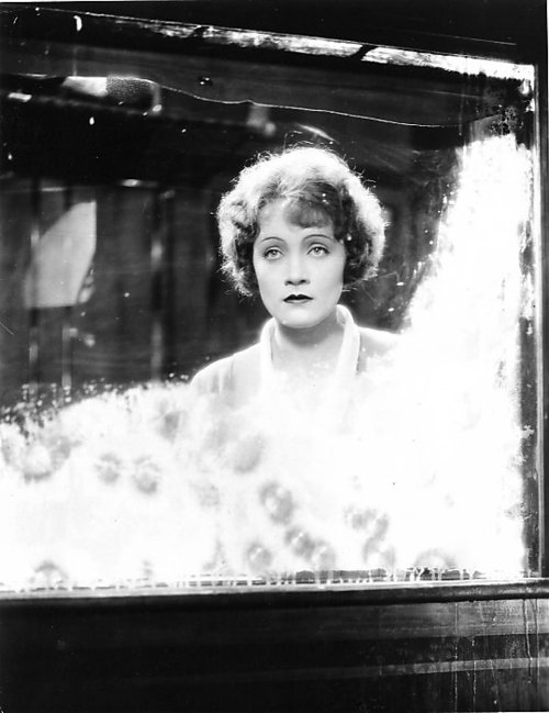 Die Frau, nach der man sich sehnt - Werbefoto - Marlene Dietrich