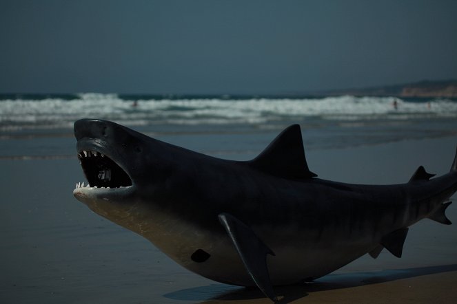 Rogue Sharks - Do filme