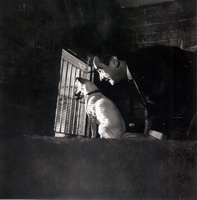 Das Ende des Geheimagenten W4C mit Hilfe des Hundes von Herrn Foutska - Filmfotos - Jiří Sovák