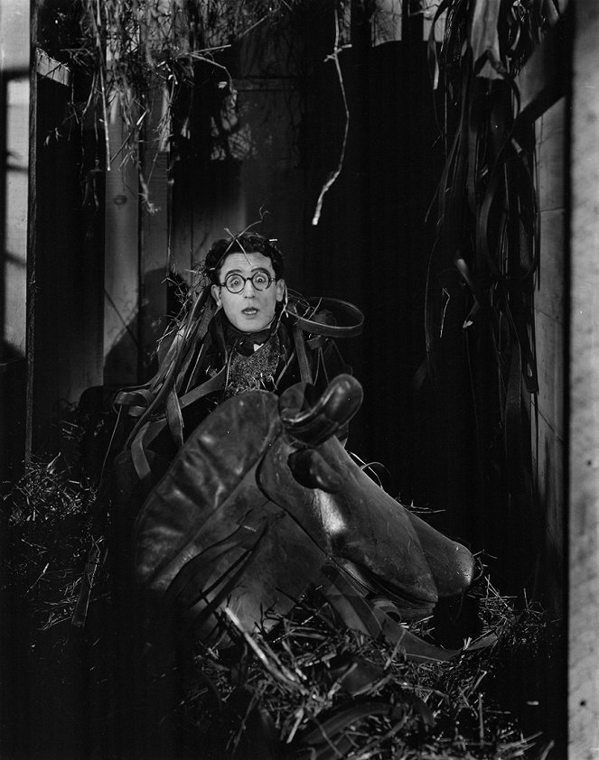A nagymama fiúcskája - Filmfotók - Harold Lloyd