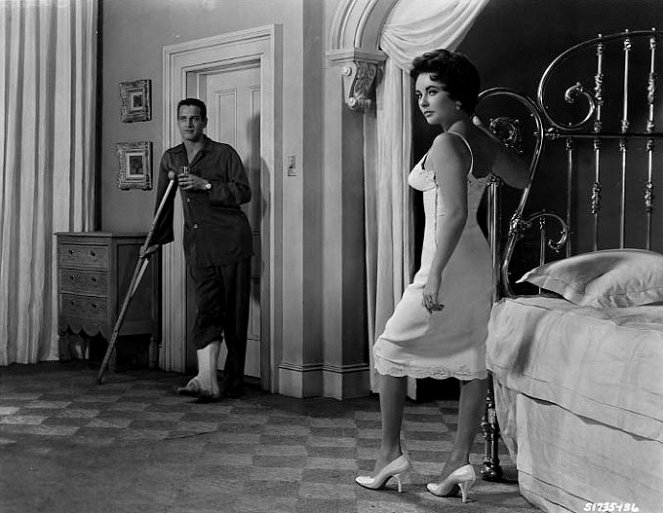 Macska a forró bádogtetőn - Filmfotók - Paul Newman, Elizabeth Taylor