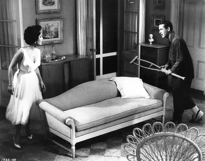 La Chatte sur un toit brûlant - Film - Elizabeth Taylor, Paul Newman