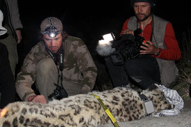 Searching For The Snow Leopard - Photos