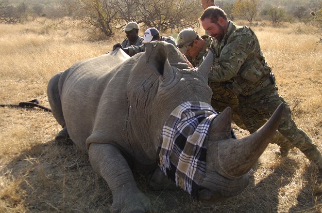Battleground: Rhino Wars - Van film
