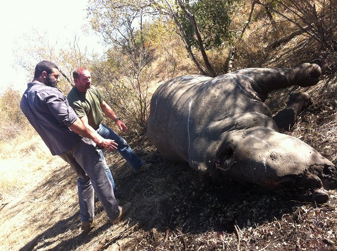 Bojiště: války na záchranu nosorožců - Z filmu