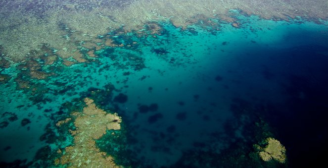 Great Barrier Reef - Van film