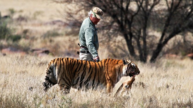 Tiger Man of Africa - De la película