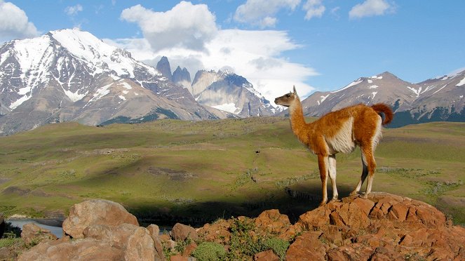 Puma - Unsichtbarer Jäger der Anden - Do filme