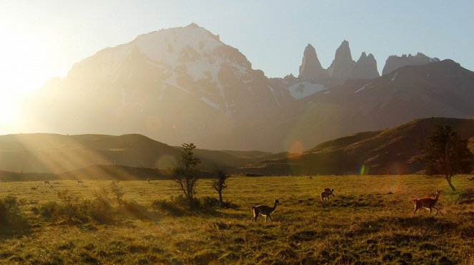 Puma - Unsichtbarer Jäger der Anden - Filmfotos