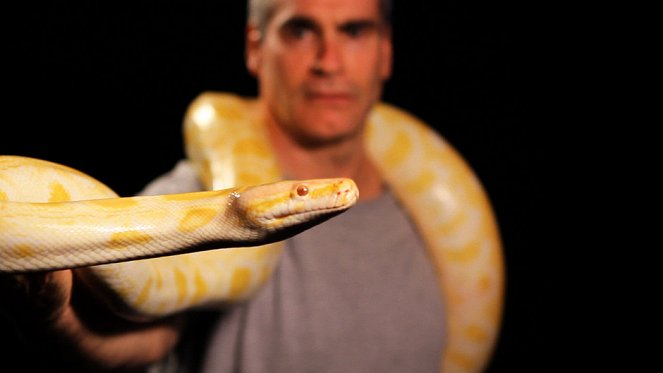 Snake Underworld - Photos