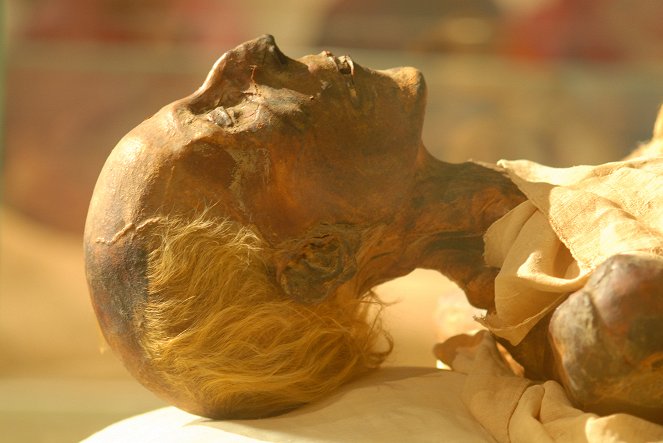 Nefertiti - Záhada královniny mumie - Z filmu