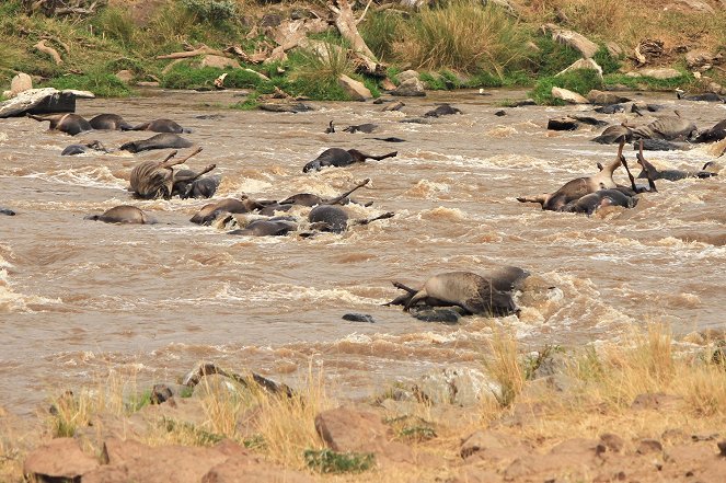 Afrika legvéresebb folyója - Filmfotók