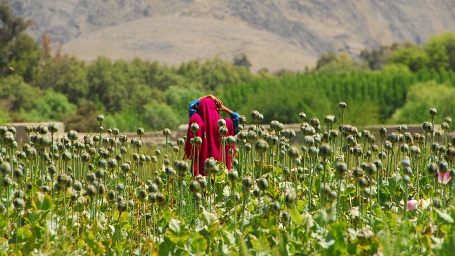 Afghan Heroin: The Lost War - Film