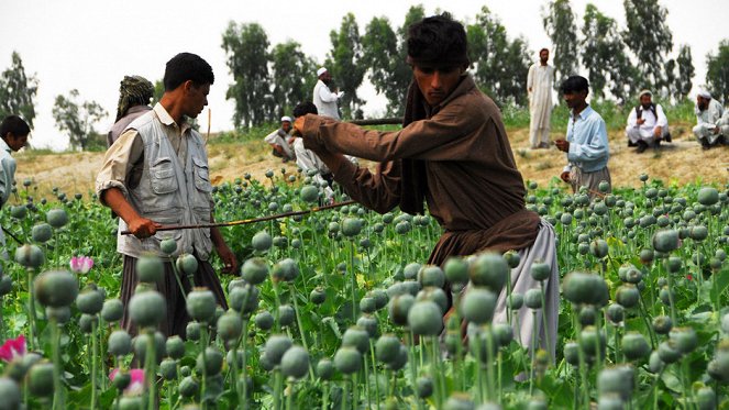 Afghan Heroin: The Lost War - Photos