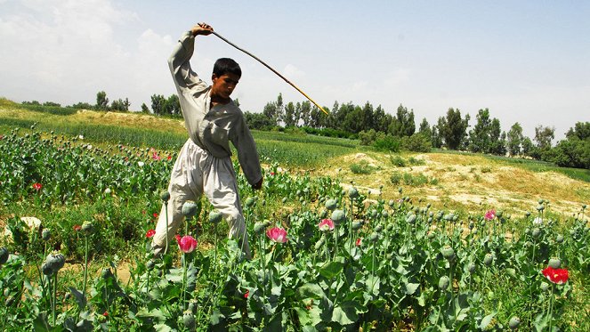 Afghan Heroin: The Lost War - Film