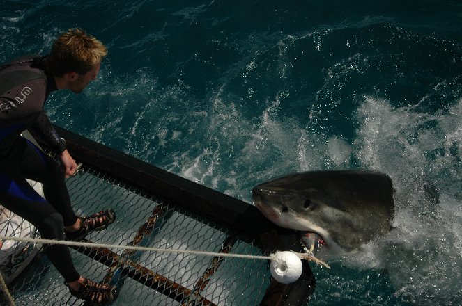 Ocean's Deadliest - De filmes