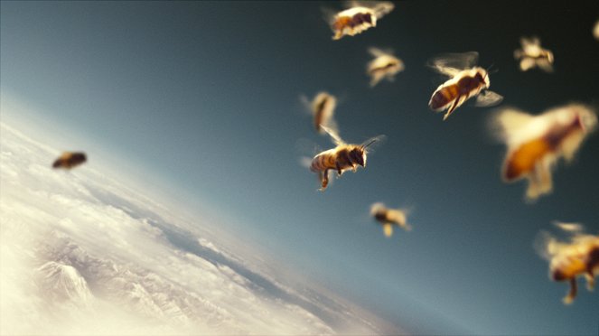 A méhek világa - Filmfotók