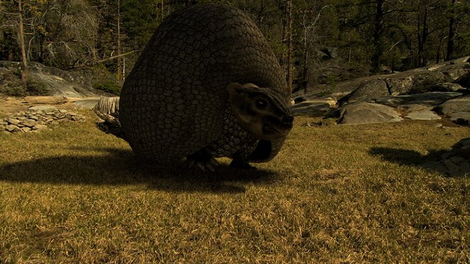 Prehistoric Monsters Revealed - Film