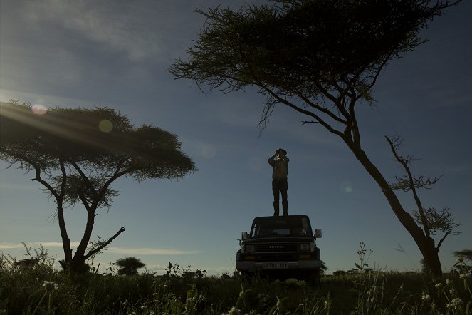 Cat Wars: Lion Vs. Cheetah - Photos