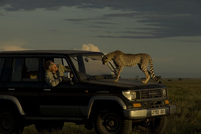 Cat Wars: Lion Vs. Cheetah - Kuvat elokuvasta