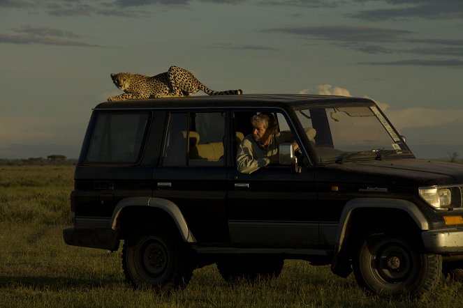 Kampf der Raubkatzen – Löwe gegen Gepard - Filmfotos
