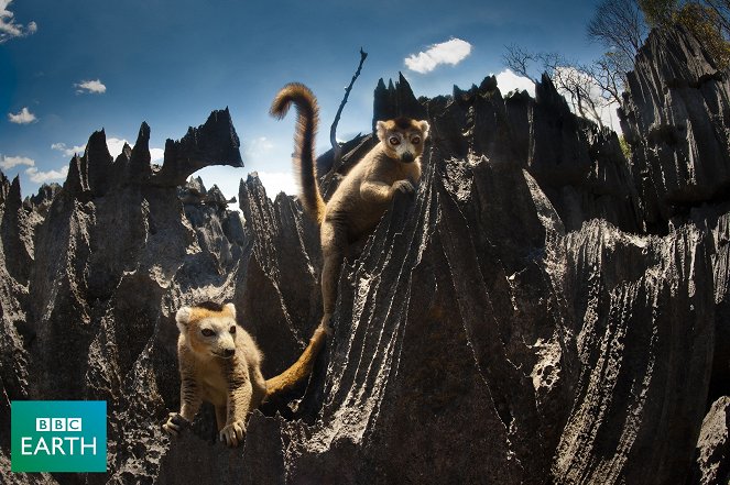 Madagascar - Z filmu
