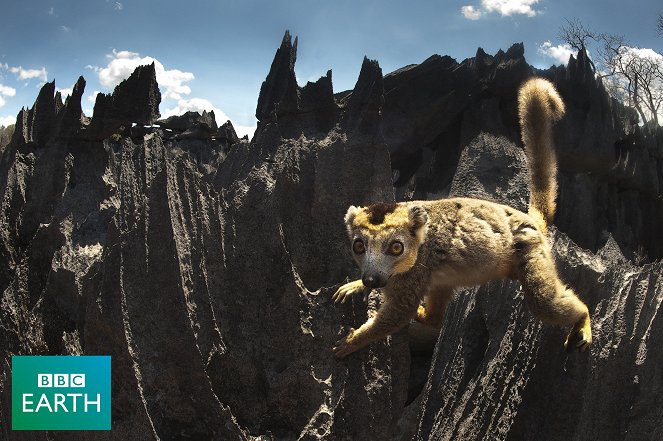 Erlebnis Erde: Madagaskar - Filmfotos