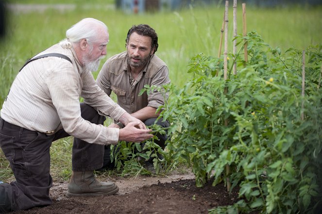 The Walking Dead - Season 4 - 30 Days Without an Accident - Photos - Scott Wilson, Andrew Lincoln