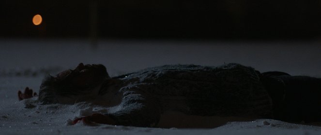Křídla Vánoc - Filmfotos - Richard Krajčo