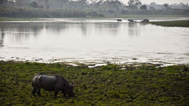 Secrets of Wild India - Photos