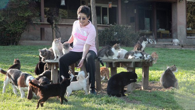 Egy hölgy és 700 macskája - Filmfotók