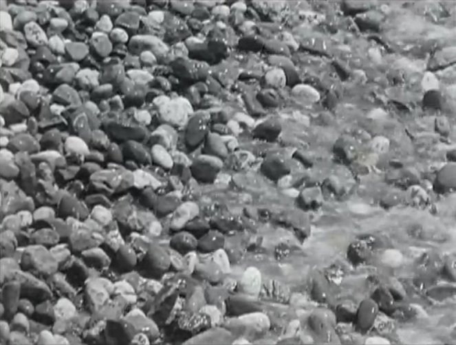 Surf and Seaweed - Kuvat elokuvasta