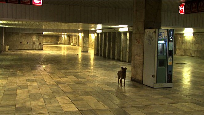 Central Station Sofia - Do filme