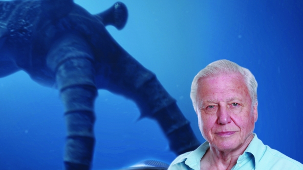 David Attenborough's First Life - De la película - David Attenborough