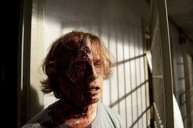 The Walking Dead - Infected - Van film