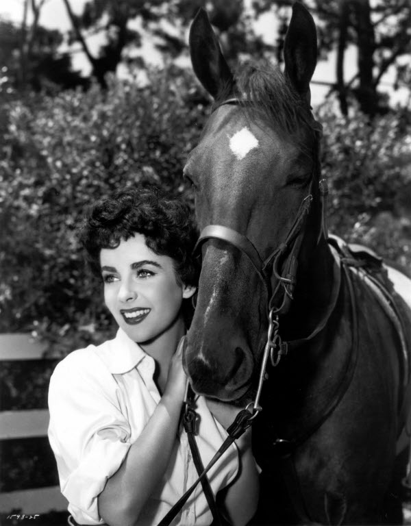 The Girl Who Had Everything - Photos - Elizabeth Taylor