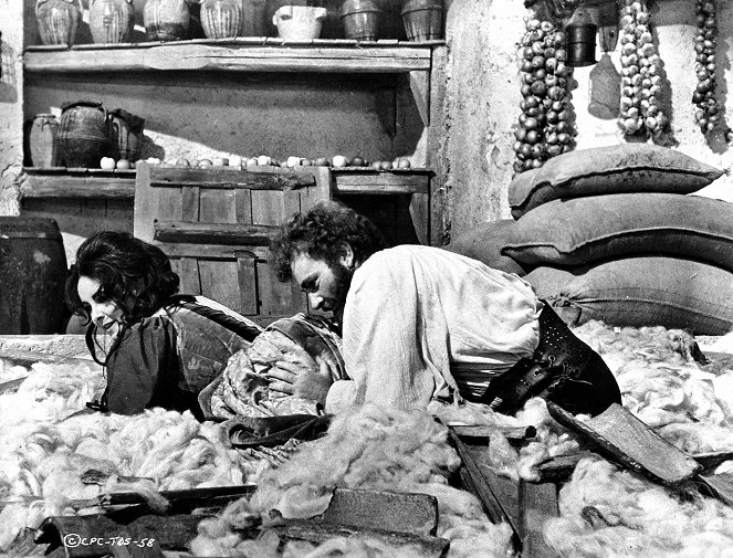 De getemde feeks - Van film - Elizabeth Taylor, Richard Burton